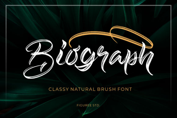 Biograph: A Casual Script Font for Web Design