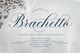 Brachetto Font: A Modern Script for Web Design
