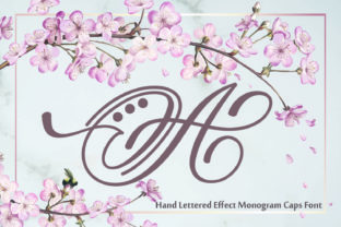 Hand Lettered Effect Monogram Font for Brands