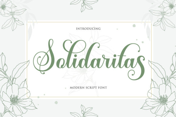 Solidaritas: A Sweet Script Font for Web Design